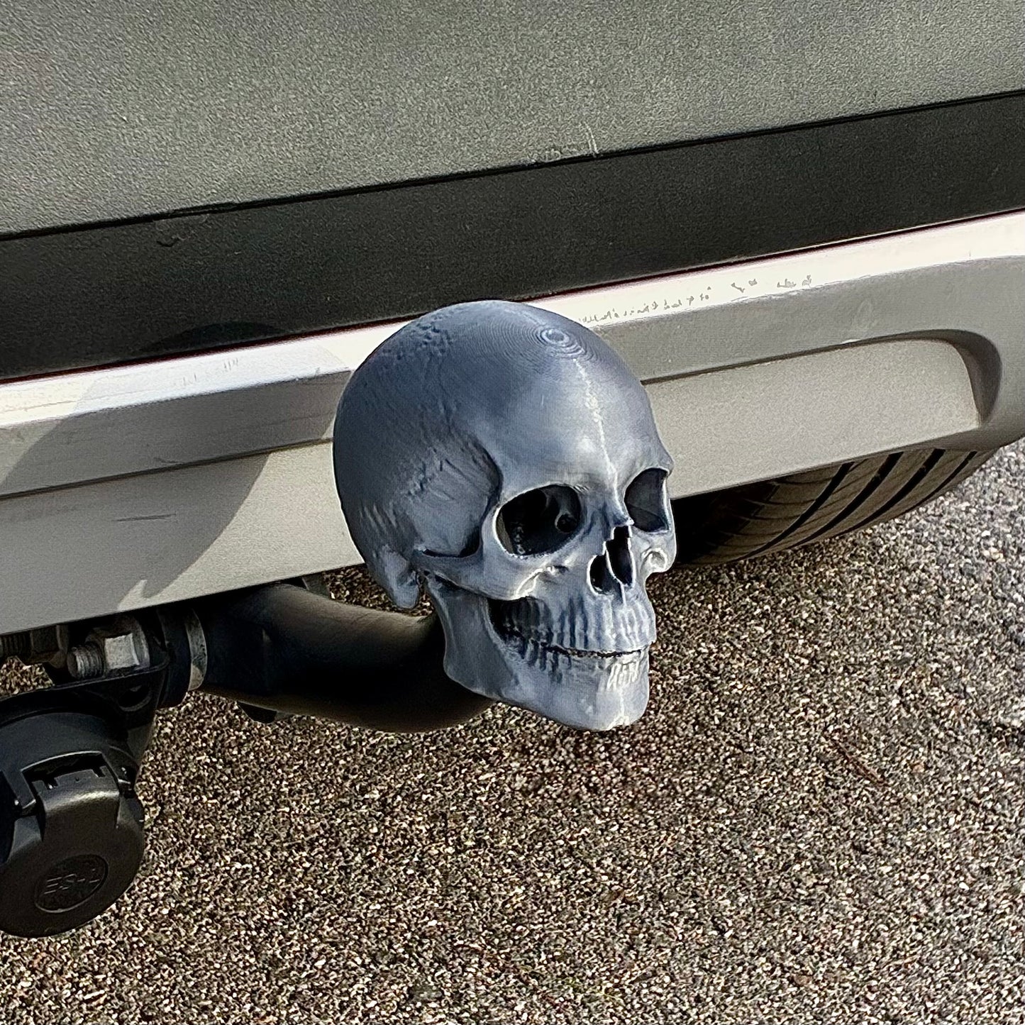 Skull