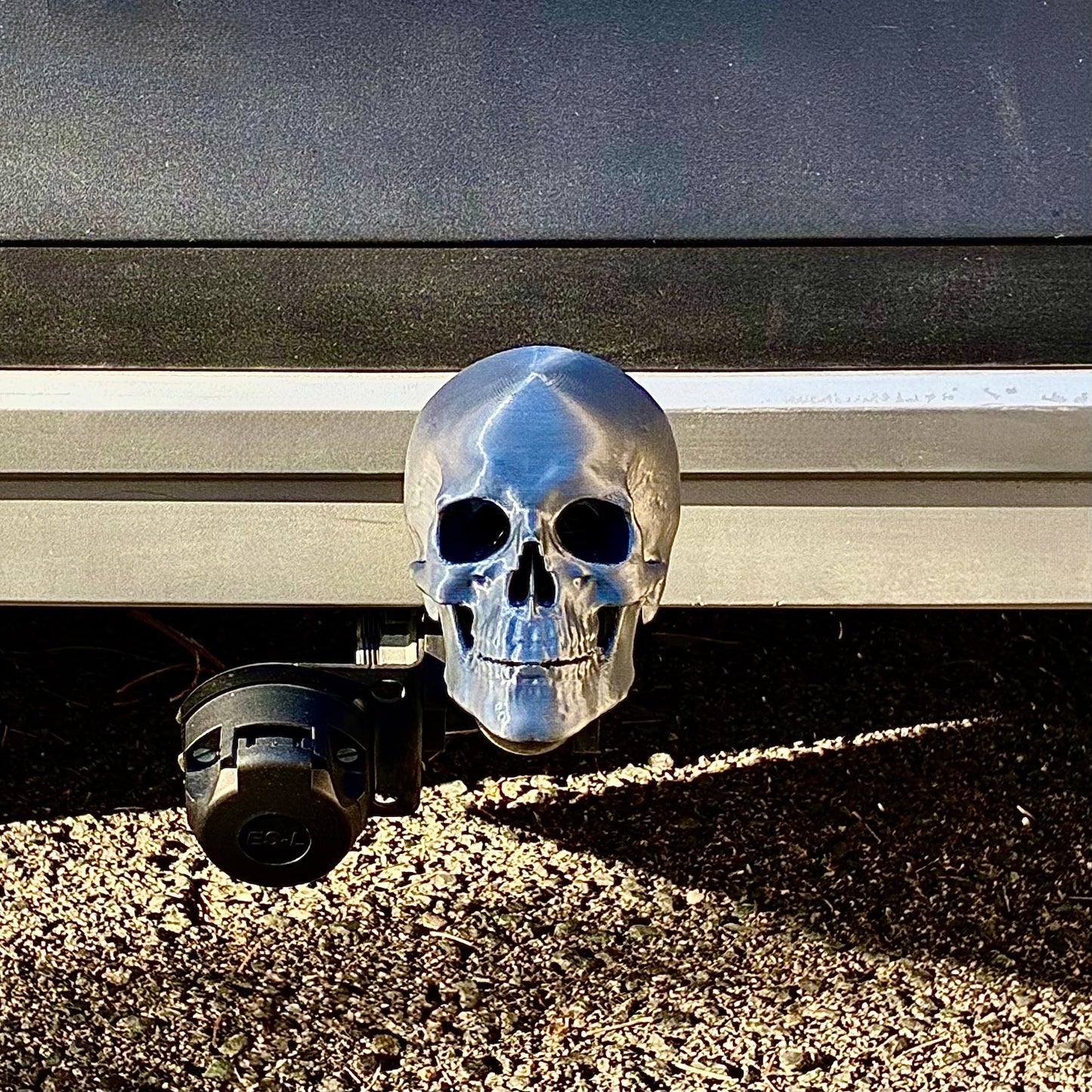 Skull